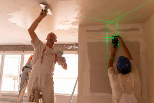  Telluride, CO Drywall & Painting Services Pros